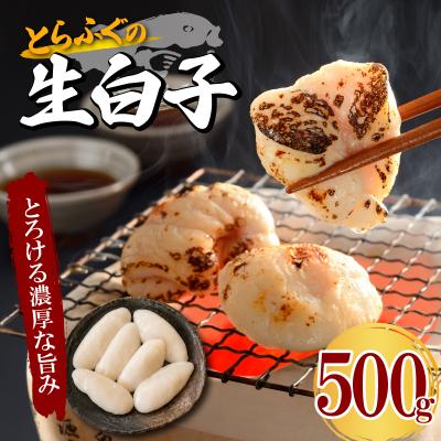 ふるさと納税 下関市 とらふぐ生白子 大容量 500g 冷凍 ふぐ 高級魚 鮮魚 下関 山口 FG054
