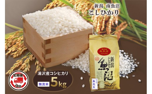 令和8年産 5kg 【9か月定期便】〈無洗米〉 魚沼最上流域 南魚沼産 コシヒカリ 精米したてのお米をお届け 【湯沢産 コシヒカリ】