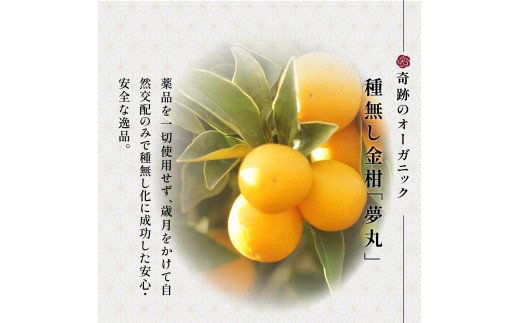 【京遊膳 花みやこ】幻の種無し金柑〖夢丸〗シロップ漬け【宮崎県綾町産 オーガニック金柑使用】150g 1個入 | 金柑 シロップ漬け オーガニック  幻 柑橘 スイーツ 和菓子 ギフト 高級 お取り寄