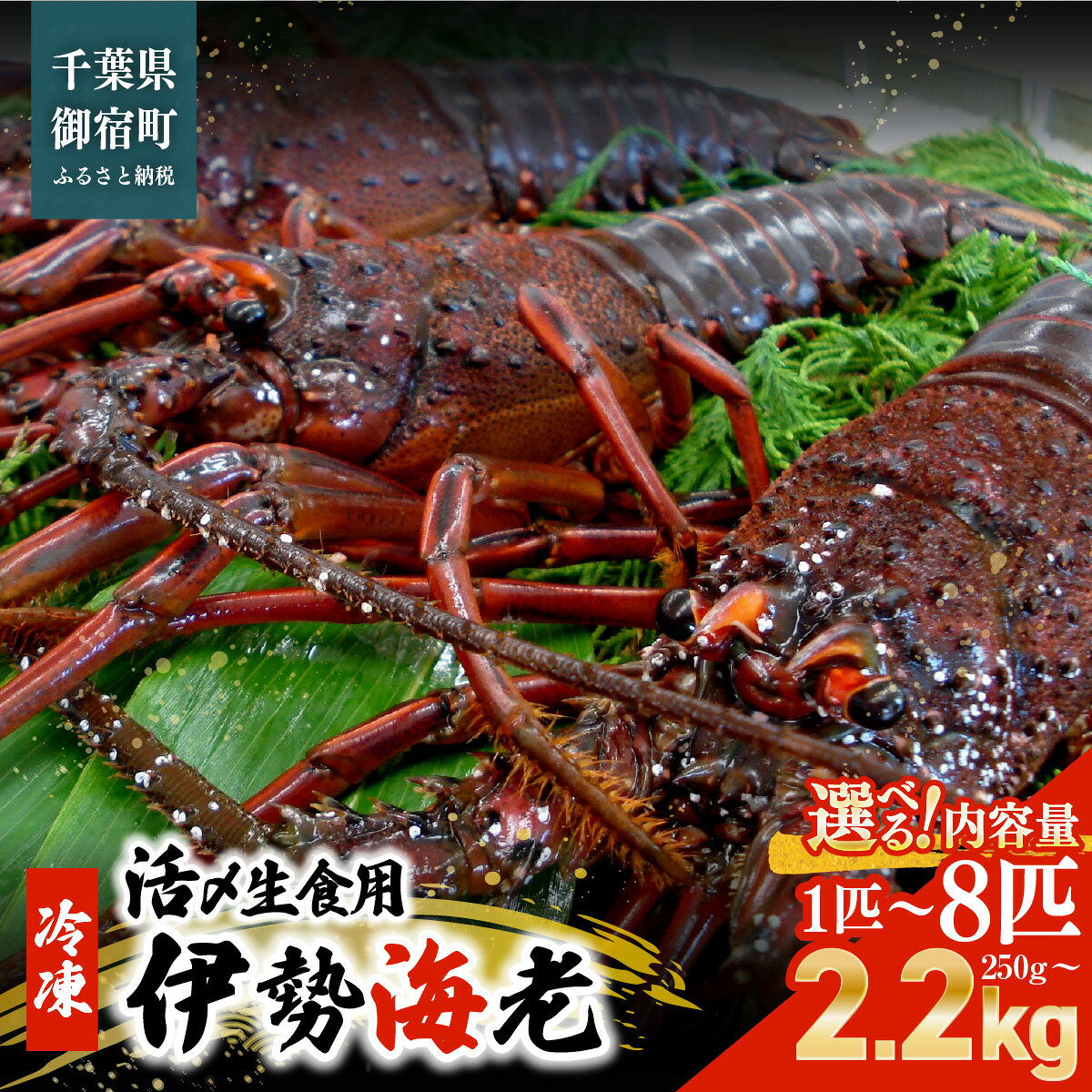 【ふるさと納税】活〆生食用伊勢海老（冷凍）1匹250～300サイズ 選べる1～8匹