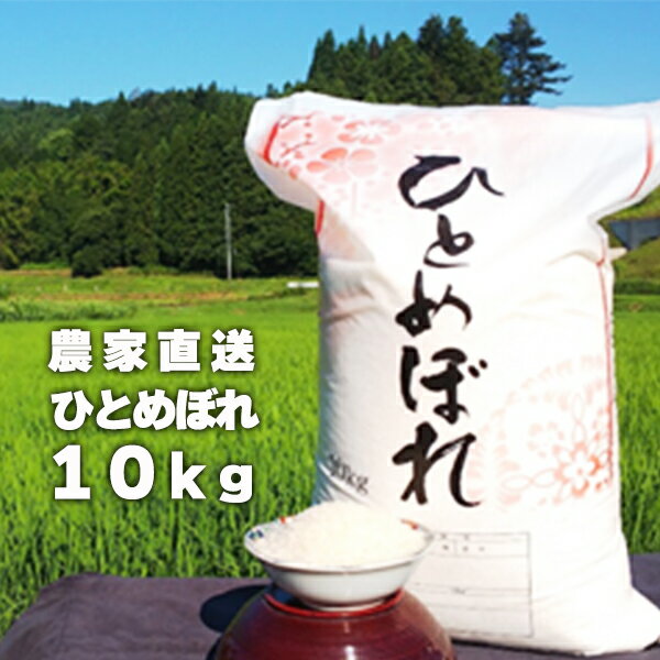 【ふるさと納税】令和6年産 大自然で育てた ひとめぼれ 10kg 選べる内容量 米 白米 精米 ご飯 ごはん コメ こめ 岩手県 一関市