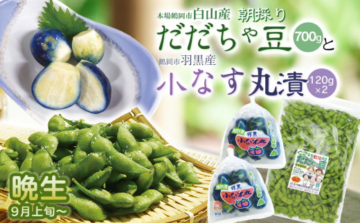 令和8年産　朝採りだだちゃ豆（晩生）700gと小なす丸漬240g（120g×2）セット　庄内観光物産館 | 枝豆 茄子 ナス 漬物 酢漬け 柿酢 特産品 生鮮 野菜 ごはんのお供