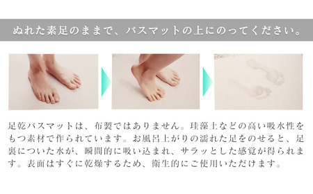 NEW 足乾（そっかん）バスマット_レギュラーサイズ｜ 珪藻土 マット