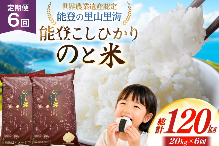 
                  米 令和7年 のと米 能登こしひかり 20kg 6回 定期便 [能登わかば農業協同組合 石川県 中能登町 nk17bth130014] こしひかり コシヒカリ 定期 6ヶ月 20キロ お米 ブランド米 国産 国産米 能登米 ごはん ご飯 白飯 飯  白米 こめ コメ おこめ okome kome 令和7年産 ふるさと納税
                