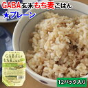 【ふるさと納税】AS11：GABA玄米もち麦パックごはんプレーン（12パック）