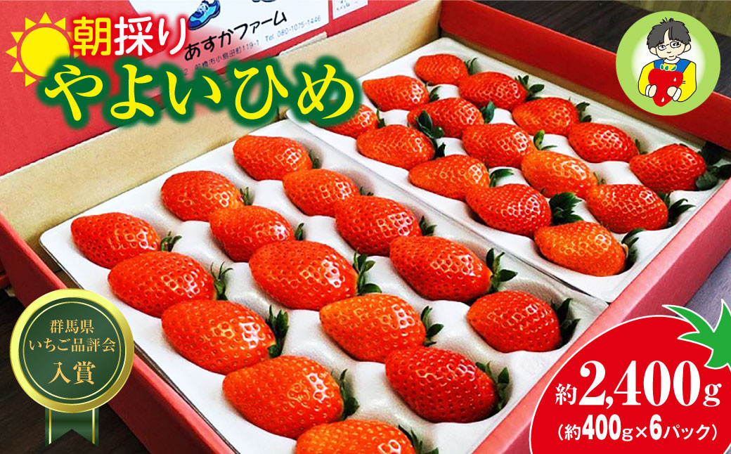 
            【2026年 先行予約】やよいひめ400g × 6パック 2.4kg｜コク 甘み 朝採れ やよいひめ 大粒 甘み 酸味 バランス 贈答用 新鮮 完熟 いちご 旬 苺 ストロベリー 産地直送 果汁 甘い あまい 人気 高評価 減農薬 美容 健康 旨味 高糖度 ごほうび 群馬県 前橋市
          