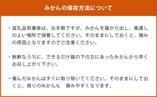 2回定期【訳あり】”やーらしか”鹿島産みかん 約6.5kg ×2回 【配送期日指定不可】佐賀県 鹿島市産 温州ミカン 旨み凝縮 小粒みかん B-714