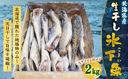 干し氷下魚(サイズお任せ)1kg×2ケース こまい コマイ 魚 白身魚 おつまみ 肴 おかず F4F-2597