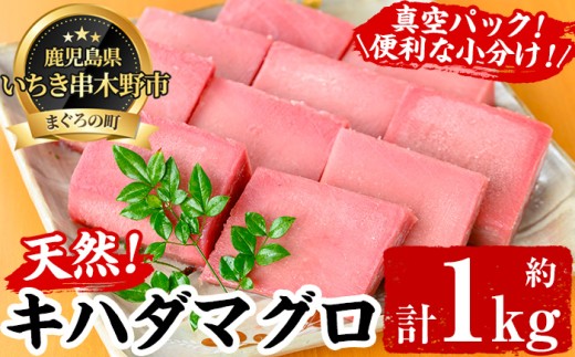 天然!  キハダマグロ 約1kg（100g×7-10柵） 真空 冷凍 便利 小分け 柵 まぐろ 刺身  きはだまぐろ 赤身【海鮮まぐろ家】【00-041-01】