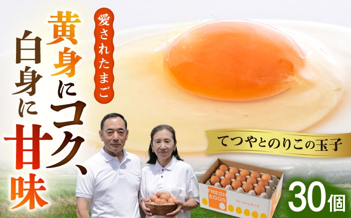 
                  てつやとのりこの 玉子 【 30個 】 糸島市 / 板垣ファーム たまご 卵 こだわり卵 糸島卵 鶏卵 卵かけご飯 [AWD001]
                