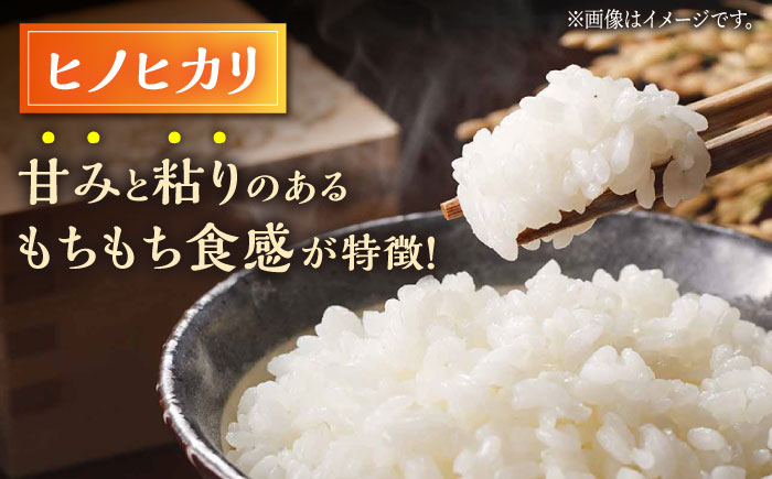 【3回定期便】 【数量限定】ヒノヒカリ・にこまる 白米 食べ比べ 計10kg（5kg×2袋）【竹下農園】 [ZEL011]
