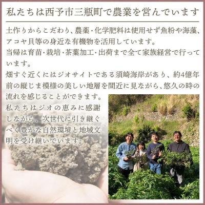 ふるさと納税 西予市 ジオで生まれた当帰茶(茶葉) |  | 02