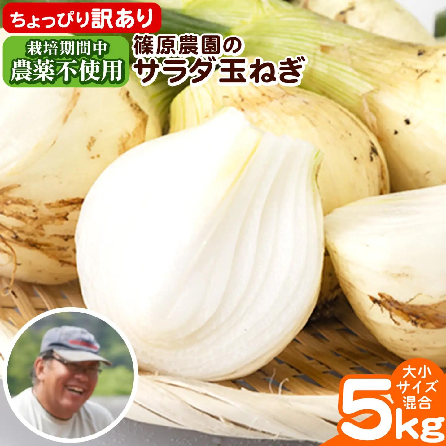 玉ねぎ サラダ 5kg 玉ねぎ
