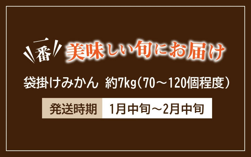M02-0035_【配送不可地域：北海道・沖縄県・離島】ふるーつ物語 越冬完熟 「袋掛けみかん」 約7kg