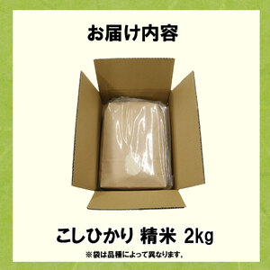 米 こしひかり 2kg 農家直送 特別栽培米 お米 精米 静岡県 藤枝市