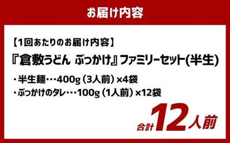 【6ヶ月定期便】『倉敷うどん ぶっかけ』ファミリーセット(半生) 12人前×6回 うどん 麺類 麺 半生 半生麺 ぶっかけうどん タレ つゆ 岡山県 倉敷市