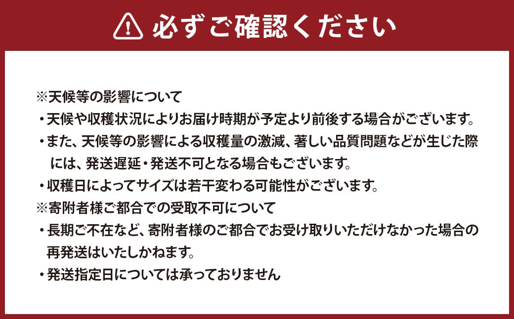 梨約5kg