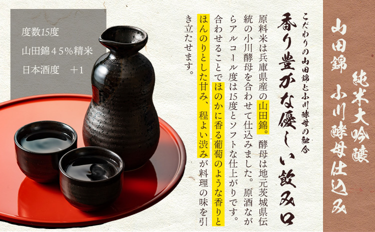 日本酒 武勇純米大吟醸 山田錦小川酵母仕込み 720ml 《90日以内に出荷予定(土日祝除く)》お酒 酒 アルコール 山田錦 小川酵母 プレゼント ギフト 贈り物 結城市 茨城県【配送不可地域あり】-