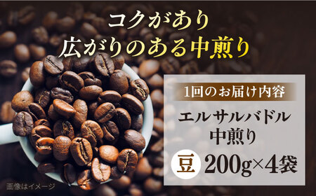 【全12回定期便】コーヒー豆 自家焙煎 中煎り エルサルバドル 200g×4 TSUKIKOYA COFFEE ROASTER ツキコヤ 珈琲 こだわり 横須賀【株式会社RUINS】 [AKAD030