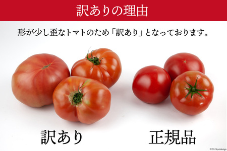 【2025年発送】 訳あり 春作 トマト 4kg [ヨダファーム 山梨県 中央市 21470612] 規格外 家庭用 不揃い とまと 野菜 やさい 4キロ 季節限定 期間限定 産地直送 山梨県産