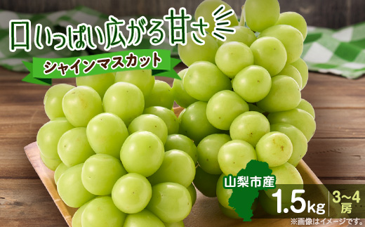 【2026年先行受付】やみつきシャインマスカット 1.5kg(3～4房)【配送不可地域：離島】