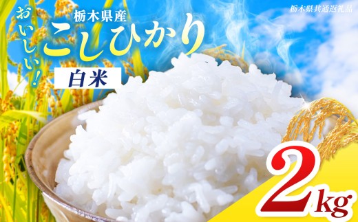 【栃木県共通返礼品】【先行予約】【令和8年度産】 訳あり 栃木県産 コシヒカリ 2kg |定期便 選べる ふるさと 納税 コシヒカリ とちぎの星 お米 精米 白米 大粒 小粒 okome kome ご飯 無洗米 栃木県 那珂川町 送料無料