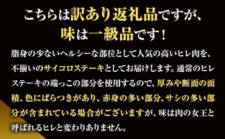 博多和牛 ヒレサイコロステーキ 600g 久田精肉店株式会社《30日以内に出荷予定(土日祝除く)》 博多和牛 牛肉 赤身 600g A5等級 訳あり ステーキ 国産 