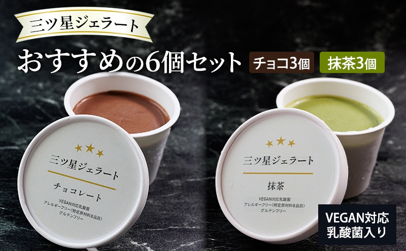
                  世界中の人たちが食べられる！VEGAN対応乳酸菌入り「三ツ星ジェラート」おすすめの6個セット（チョコ×3、抹茶×3）ジェラート セット アイス スイーツ 豊島区 東京
                