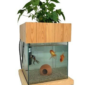 【ふるさと納税】せせらぎビオトープ　25cm型基本＋木枠台セット