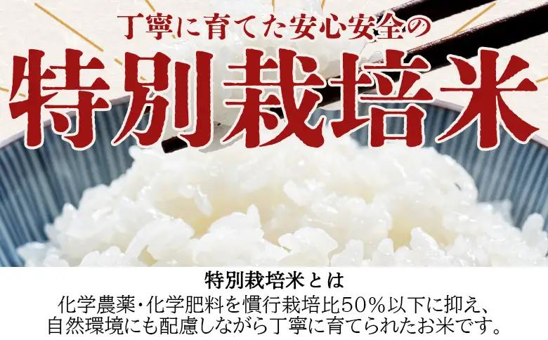 令和８年度産 白米（特別栽培米）10kg ka-0003