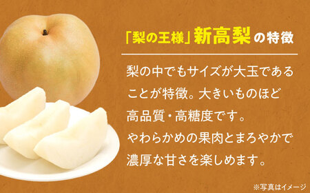 【先行予約】【10月上旬から順次発送】「梨の王様」特大新高 梨2kg（4個から6個入り） 愛媛県大洲市/幸野観光なし園 なし ナシ 梨 [AGBD001] なし ナシ 梨