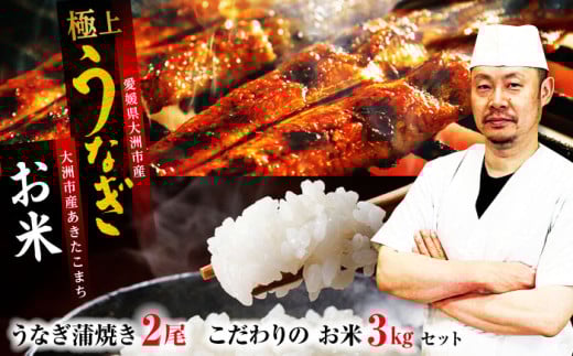 うなぎ 蒲焼き 2尾 と 地元生産者 こだわり の お米 3kg セット ウナギ 絶品 国産 鰻 うな丼 うな重 かば焼き 高級 丑の日 お米 セット 大洲市産 送料無料 贈答 ギフト おすすめ 人気 お取り寄せ 送料無料  グルメ 惣菜 簡単調理 湯煎 栄養満点 健康 贅沢 ご褒美 逸品 極上 秘伝のタレ ふっくら ふわふわ 食感愛媛県大洲市/有限会社 樽井旅館[AGAH004]