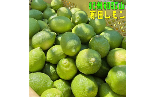 紀州和歌山 有田レモン 約2kg［農家直送］［先行予約］［MS67］