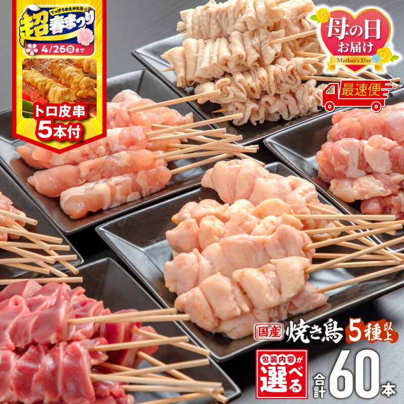 【ふるさと納税】【超！春まつり 生活応援・大感謝規格】【包装内容・発送時期が選べる】若鶏の焼き鳥セット(60本)盛り合わせ・トロ皮串5本付き 国産 もも せせり 皮 ぼんじり 砂肝 カタ 鶏肉 肉 お肉 鶏 若鶏 焼き鳥 セット 小分け パック 焼き鳥セット 贈り物 ふるさと