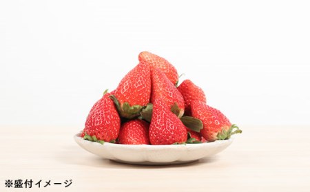 【２月発送開始・数量限定】伊賀いちご園のプレミアムボックス（厳選15粒化粧箱入り） - イチゴ ストロベリー strawberry 高級 贈答用 プレゼント ふくはる香 ゆうやけベリー【1800601