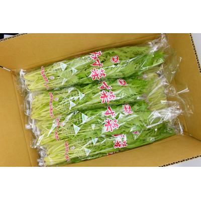 ふるさと納税 行方市 「みず菜」100g×20袋 |  | 01