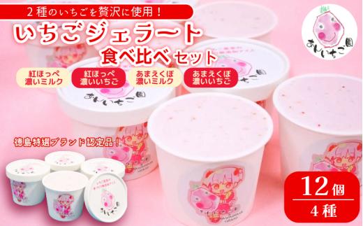 いちご ジェラート 食べ比べセット 12個 4種 いちご 苺 フルーツ 紅ほっぺ あまえくぼ 果物 旬 ジェラート アイス 夏 ギフト 夏ギフト プチギフト 国産 食べ比べ セット 冷たい 贈り物 冷凍 おやつ