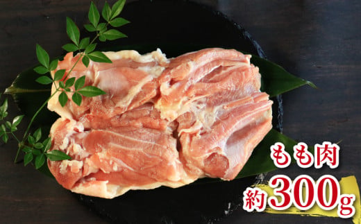 地鶏 愛媛 媛っこ地鶏 もも むね ささみセット 約1kg 鶏肉 鳥肉 肉 チキン むね肉 もも肉  焼肉 焼き鳥  BBQ 冷凍 国産 高級 タンパク質 低脂肪 糖質 唐揚げ チキン南蛮 サラダチキ