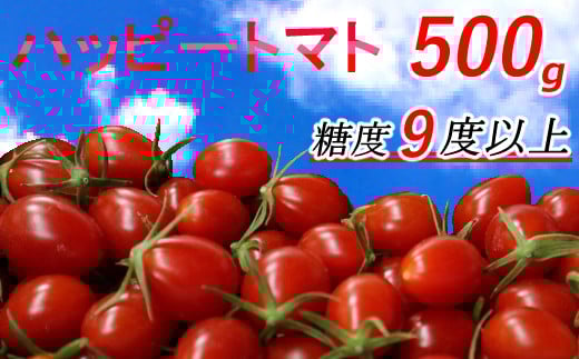 
ハッピートマト５００ｇ【室戸海洋深層水ブランドマーク取得】
