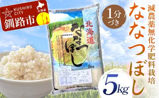 
            【選べる発送月】【令和7年度産 】【新米】 農薬9割減・化学肥料不使用ななつぼし 5kg 1分づき 北海道産 米 コメ こめ お米 白米 玄米 F4F-9571var
          