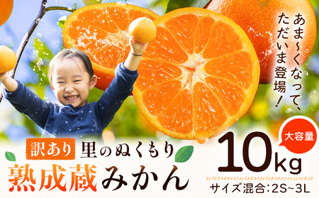 訳あり 熟成みかん 10kg 《1月上旬-3月上旬頃出荷》徳島 柑橘 ミカン 蜜柑 フルーツ 青果物 大容量 徳島県 佐那河内村