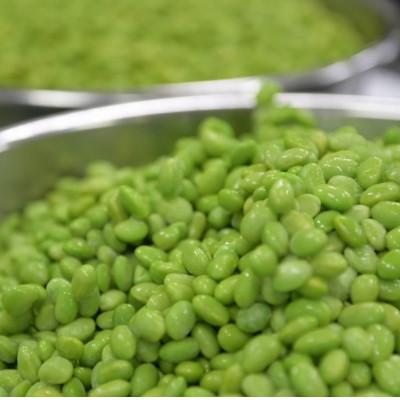 ふるさと納税 宮城県 冷凍ずんだ餅 5個入×6パック |  | 02