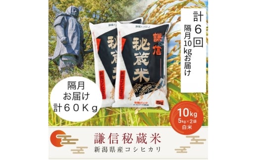 令和7年産 新潟県産 コシヒカリ 定期便 隔月発送（10kg×6回分） 謙信秘蔵米 真空 窒素挿入 冬眠パック 精白米 お米 上越市 上越産 上越米 上杉謙信