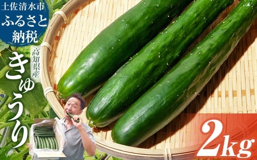 きゅうり 2kg 2キロ キュウリ 野菜 新鮮 サラダ 漬物 浅漬け ぬか漬け 酢の物 炒め物 健康 高知県 土佐清水市 夏野菜【R01451】