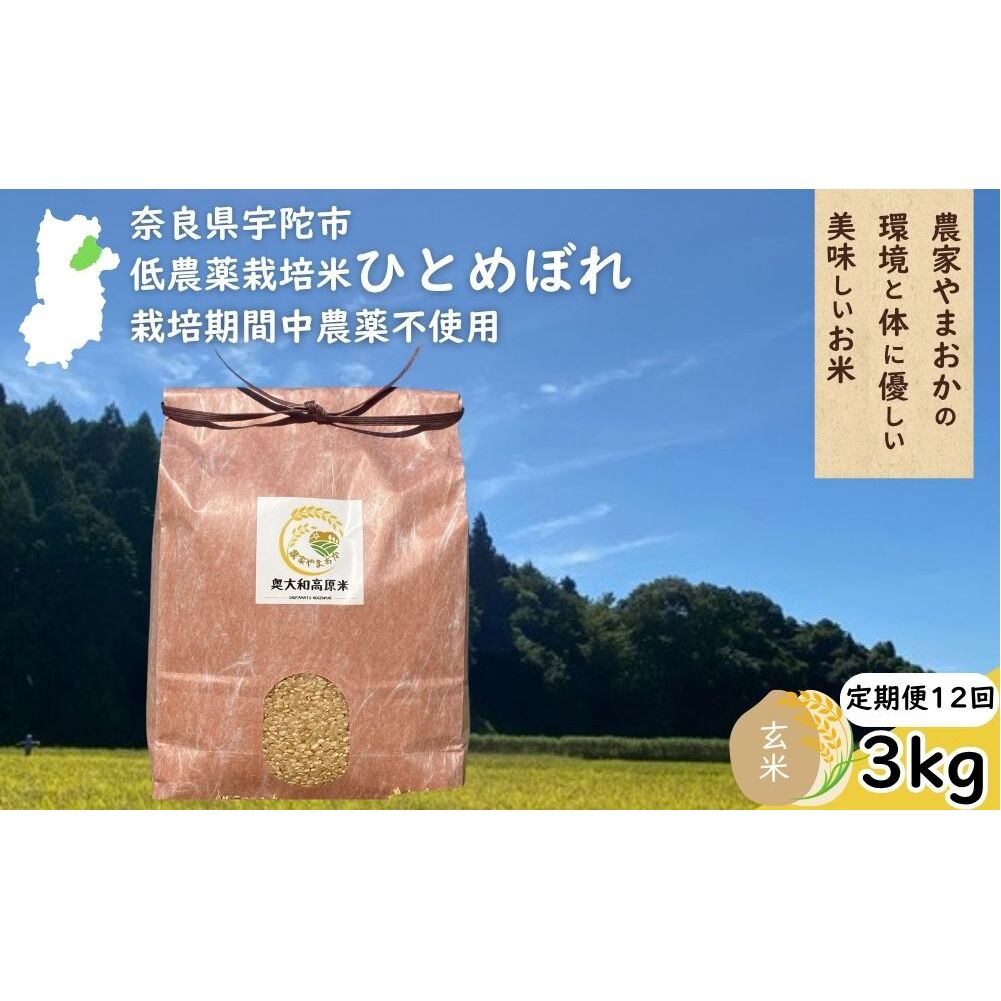 【定期便12回】ひとめぼれ 低農薬栽培＜令和7年産 玄米 3kg ＞ / ふるさと納税 低農薬 米 お米 こめ コメ 国産 新米 玄米 一等米 農家やまおか 奈良県 宇陀市