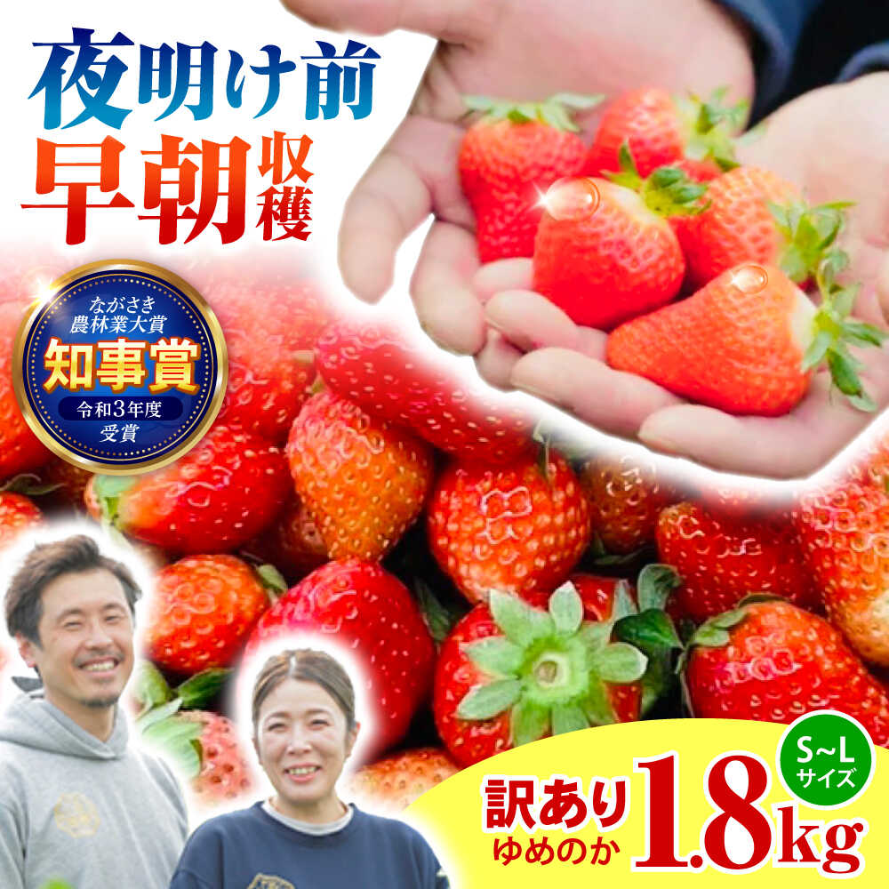 【ふるさと納税】※【2026年2月発送分／先行予約】【訳あり】【とろける甘さ、弾ける果汁！】いちご「ゆめのか」 S-Lサイズ 1.8kg / 訳あり 訳あり商品 訳あり果物 果物訳あり いちご イチゴ 苺 イチゴジャム / 諫早市 / むらたサービス[AHFA003]