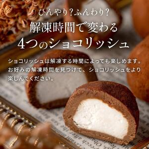 訳あり ショコリッシュ 480g 瀬戸内レモン 約19～21個入り ｜スイーツ スイーツ チョコレート チョコレート