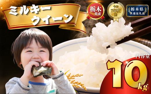 ミルキークイーン 10kg（5kg×2袋） | 米 こめ コメ kome 白米 精米 お米 栃木米 ブランド米 栃木県 特産品 送料無料 【栃木県共通返礼品】 栃木県 下野市 しもつけ市