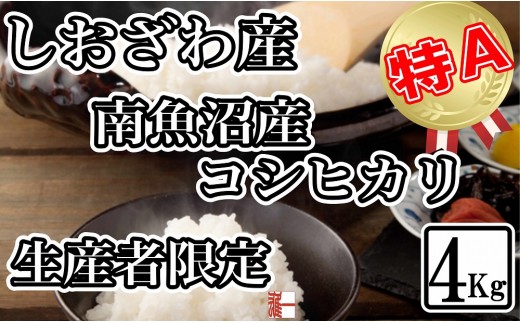 【令和8年産　新米予約】生産者限定 契約栽培 南魚沼しおざわ産コシヒカリ4Kg【銘柄米 ブランド米 精米 こしひかり コシヒカリ 魚沼産 新潟米 産地直送 お米 米 こめ コメ ご飯 御飯 ごはん】【2026年10月上旬から1ヶ月以内に順次発送予定】