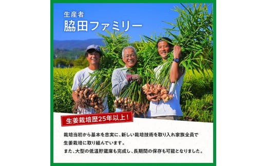 農家直送！ 宮崎県産根生姜（囲い生姜） 4ｋｇ【宮崎県産 九州産 しょうが シロップ漬け 産地直送】 [F7003]